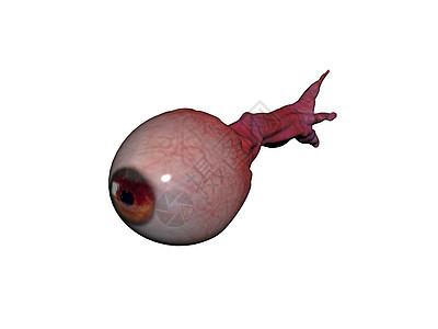 具有视神经和虹膜的眼球鸢尾花棕色视网膜瞳孔光学血管玻璃图片