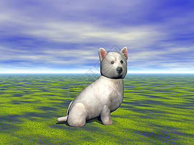 小白狗坐在绿色夏日草原上背景图片
