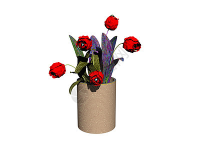 棕土花花花瓶 有切花花红色花岗岩装饰品花朵兰花树叶插花餐桌石头蓝色背景图片
