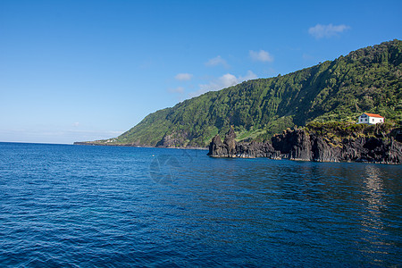 在亚速尔群岛上行走 发现亚速尔州Sao Jorge岛火山荒野动物公园鲸目植被旅行鸭子海滩蓝色图片