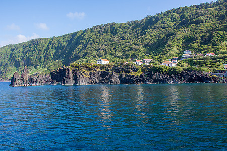 在亚速尔群岛上行走 发现亚速尔州Sao Jorge岛蓝色海滩植被喷气绣球花动物池塘全景鲸目土地图片