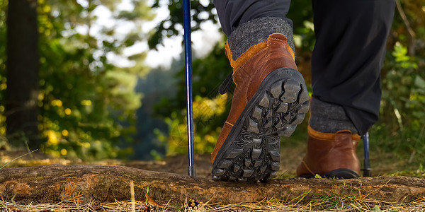 在秋天的松树林里徒步旅行的人 男靴在阳光明媚的日子在树林里散步 远足概念 户外生活方式树木鞋类运动成人远足者森林踪迹靴子人行道小图片