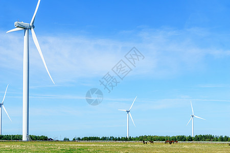 北开普省北角风力涡轮机风景吸引力旅游旅行场地绿色地标木头海洋涡轮图片