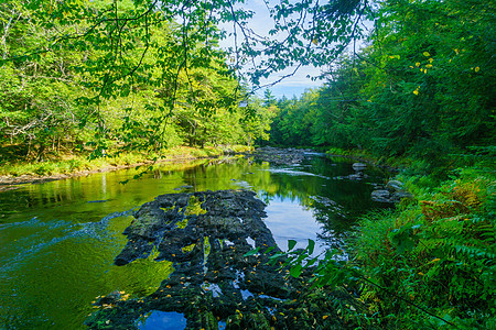 梅尔西河 Kejimkujik国家公园岩石衬套反射旅行荒野蓝色风景环境科技绿色植物图片