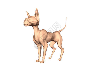 长耳朵的裸裸瘦皮卡通猫爪子尾巴漫画褐色背景图片