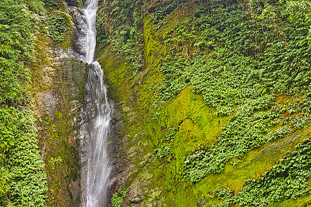 尼泊尔喜马拉雅安纳普尔纳保护区瀑布多样性生境栖息地生物学岩石森林石头生态旅游远足者避难所图片