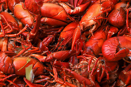 很多熟熟的讯号龙虾剪刀红色溪流眼睛淡水主题动物小龙虾海鲜烹饪图片