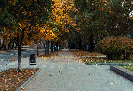 秋天晴朗的风景 公园里有长椅的路 在阳光明媚的 10 月一天 秋天的树木公园和落在公园地上的秋叶 设计模板橙子车道旅行小路森林环图片
