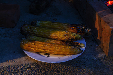 在盘子上的玉米棒子上烧焦的玉米 烤玉米棒放在盘子里图片
