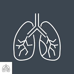 肺部相关矢量细线 ico关心生物学插图支气管胸部中风内脏呼吸道癌症科学图片
