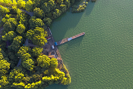 湖边的树和木桥高清图片