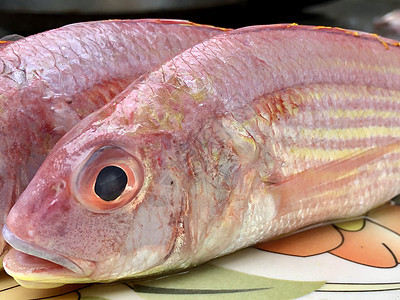 市场上新鲜的红松鼠鱼 特写准备出售的红松鼠鱼头部饮食烹饪鲤鱼皮肤钓鱼摊位午餐海洋食品鳟鱼图片