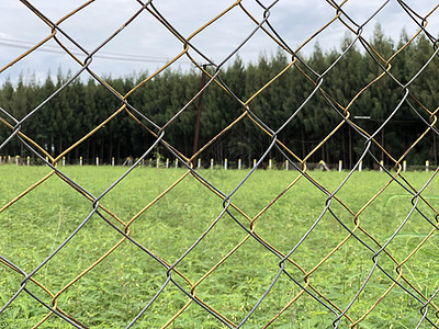 具有美丽风景背景的交叉金属铁丝网围栏 绿草上的栅栏天空框架旅行网格场地园艺安全路障边界链环图片