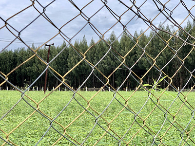 具有美丽风景背景的交叉金属铁丝网围栏 绿草上的栅栏场地足球网格安全旅行蓝色园艺天空农业地面图片