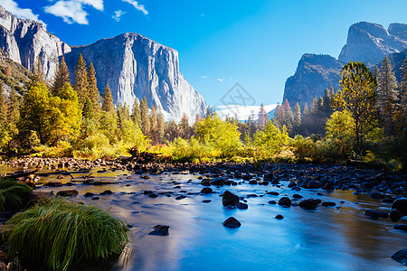 优胜美地国家公园美国Yosemite 山谷早景松树草地公园森林国家薄雾旅游荒野悬崖美丽背景