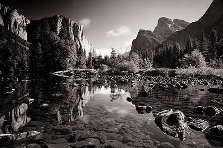 美国Yosemite 山谷早景荒野草地隧道松树地标全景薄雾圆顶森林美丽图片