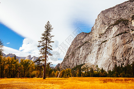 美国Yosemite 山谷和Meadows悬崖草地风暴旅游松树酋长旅行社荒野天空地形图片