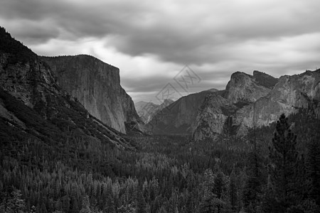 来自美国隧道视图的Yosemite 山谷荒野旅游地标天空旅行社森林全景草地景观公园图片