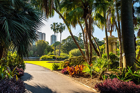澳大利亚新南威尔士州悉尼皇家植物园景象图片