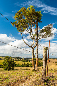 旱季昆士兰州农村地貌草地农田财产季节爬坡天空场景蓝色农业栅栏图片