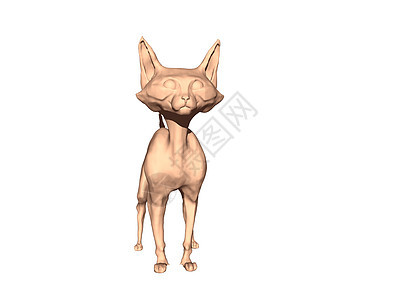 长耳朵的裸裸瘦皮卡通猫爪子褐色尾巴漫画背景图片