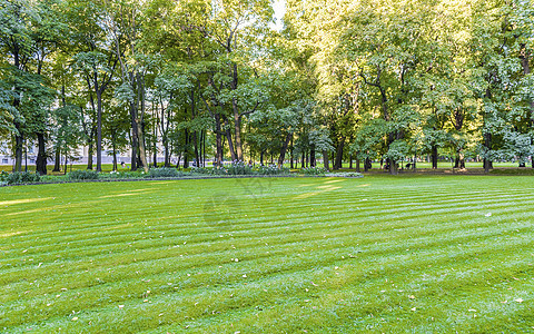 米哈伊罗夫斯基花园内 圣彼得斯布市中心犹太公园花园城市公园地标旅行历史绿色柱廊柱子博物馆图片