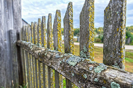 旧的和腐烂的木栅栏 长得过于茂密 有磨草 模状 弯曲和从那时起就摇摆不定图片