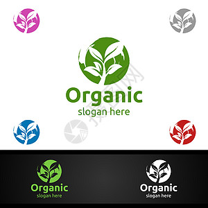 草药 生态 健康 瑜伽 食品或农场概念的天然和有机Logo设计模板环境花园疗法温泉漩涡生活品牌商业插图叶子图片