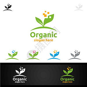 草药 生态 健康 瑜伽 食品或农场概念的天然和有机Logo设计模板商业水果食物生活化妆品树叶标志温泉插图环境图片