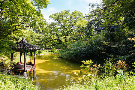 南韩首尔韩国遗产建筑王朝寺庙旅行宗教建筑学游客佛教徒地标图片