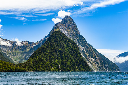 新西兰的米尔福德音响地标岩石海洋森林风景荒野树木巡航支撑峡湾图片