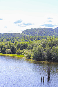挪威美丽的山地和海景 佛尔兹河森林自然界旅行阳光高山树木太阳风景湖泊蓝色旅游山脉图片