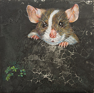一只老鼠从地上戳他的头 涂了亚银画图片