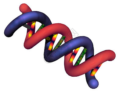遗传物质混合的双螺旋双重螺旋遗传学蓝色红色结构导体黄色轮流图片