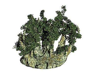 带树枝的奇异叶林石头森林艺术品雕塑灌木树叶树木绿色叶子背景图片