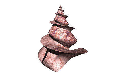 石状螺旋螺螺外壳螺旋旋转蜗牛壳石灰石蜗牛住房图片