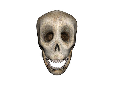 头骨和下巴颧骨棕色骷髅牙齿下颚眼窝背景图片