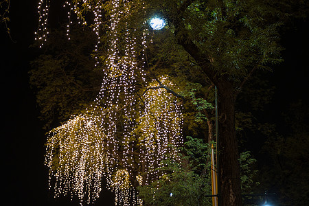 挂在花园树上的装饰性户外绳灯a照明节日花园黄色庆典灯泡派对背景时间细绳图片