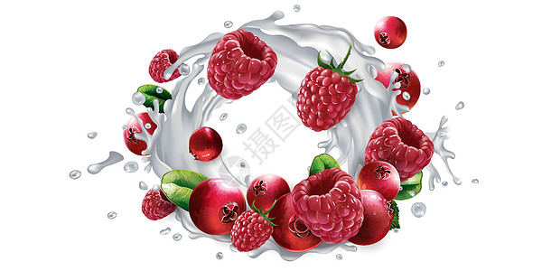 果子和草莓 还有一滴牛奶或酸奶饮料美食水果饮食浆果产品厨房鞭打味道液体图片