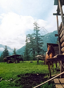 马在草地上的马棚和马厩附近马术栅栏场地建筑风景农田叔叔国家牧场谷仓图片