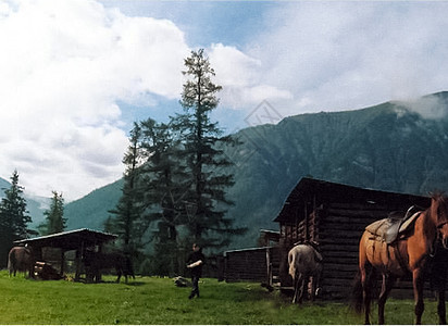 马在草地上的马棚和马厩附近农田木头农场谷仓栅栏榆钱风景场地牧场建筑图片