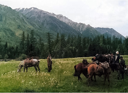 马在草地上的马棚和马厩附近农田风景马术动物家畜榆钱栅栏木头叔叔建筑图片