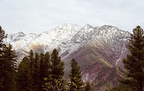 冬雪中的赛昂山 山的本质是说风景岩石假期旅行远足颜色旅游全景森林生态图片