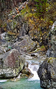 山河 石块和山河水 据说是山地树木瀑布石头树叶全景热带山脉岩石荒野溪流图片