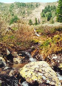 山河是溪流 水流在岩石上风景瀑布森林阳光流动蓝色运动寒冷苔藓旅行图片