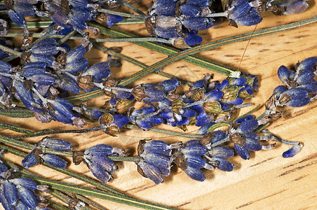 食用盐治疗花瓣香味紫色温泉蓝色芳香薰衣草保健植物图片