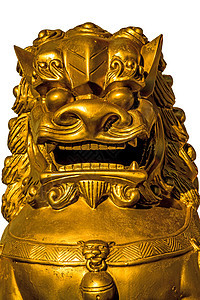 风水狮子雕塑警卫装饰品数字运气寺庙雕像神话金子古玩图片
