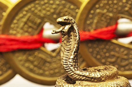 蛇风水一年硬币雕塑预报安全文化精神吉祥增强剂物品财富图片