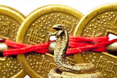 蛇风水一年安全吉祥文化精神雕塑繁荣物品增强剂硬币预报图片