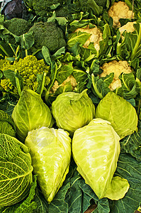 农民市场上的白白甘蓝蔬菜食物菜花绿色白色厨房健康沙拉图片